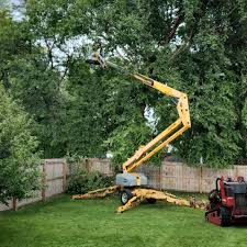 Willmar, MN Tree Removal and Landscaping Services Company